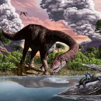 Una nueva especie de dinosaurio encontrada en Chubut devela misterios del período Jurásico