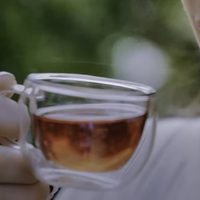 Con estas hierbas antioxidantes podés hacer que tu piel se mantenga joven y radiante