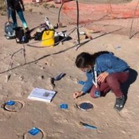 Descubren restos de un nuevo dinosaurio depredador