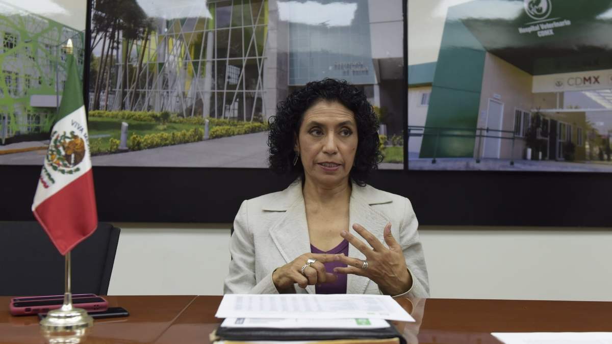 La secretaria de Salud de la Ciudad de México, Oliva López Arellano