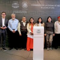 Exigen intervención de diputados en el caso del Museo Dolores Olmedo
