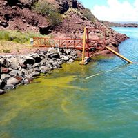 Por la presencia de cianobacterias en Villa El Chocón, el gobierno brindó recomendaciones