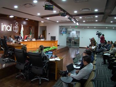 Relatoras de la ONU abogan por el INAI y piden a Sheinbaum reconsiderar su desaparición