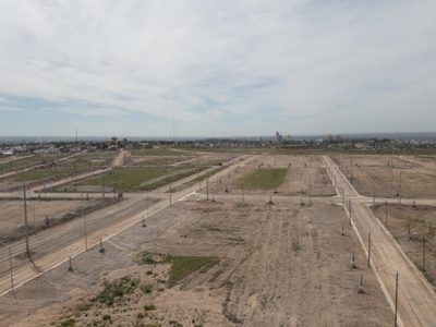 Faena clandestina en un matadero de La Meseta