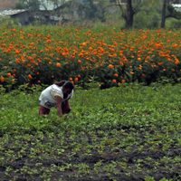 Las desigualdades laborales