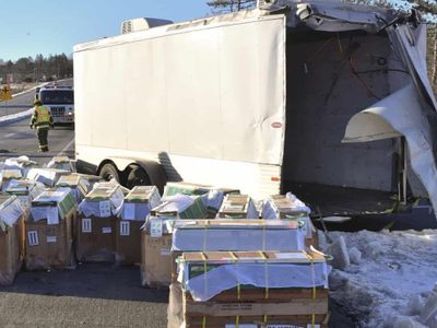 Monos en fuga en Estados Unidos: tras el accidente del camión que los transportaba, algunos huyeron