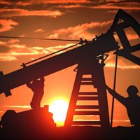 Los precios del petróleo operan estables en los mercados mundiales
