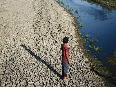 El cambio climático amenaza las plantaciones en Egipto