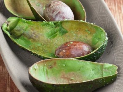 El secreto viverista para tener tu propia planta de Palta en maceta y que crezca sana y rozagante