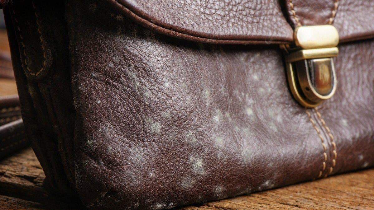 Cartera de cuero. Fuente: (X)
