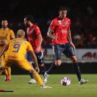 Tiburones Rojos reprochan actitud antideportiva de Tigres