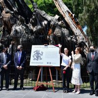 Rebautizan el "Árbol de la Noche Triste"; ahora es el "Árbol de la Noche Victoriosa"