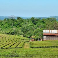 Naturaleza e historia: te contamos qué podes hacer en Oberá durante un fin de semana