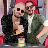 Una sorpresa: Ricky y Mau Montaner recibieron un mensaje especial de una figura