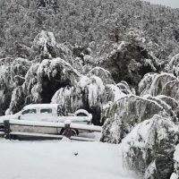 Clima en Neuquén: Muy frío con probabilidad de lluvia, nieve y viento moderado