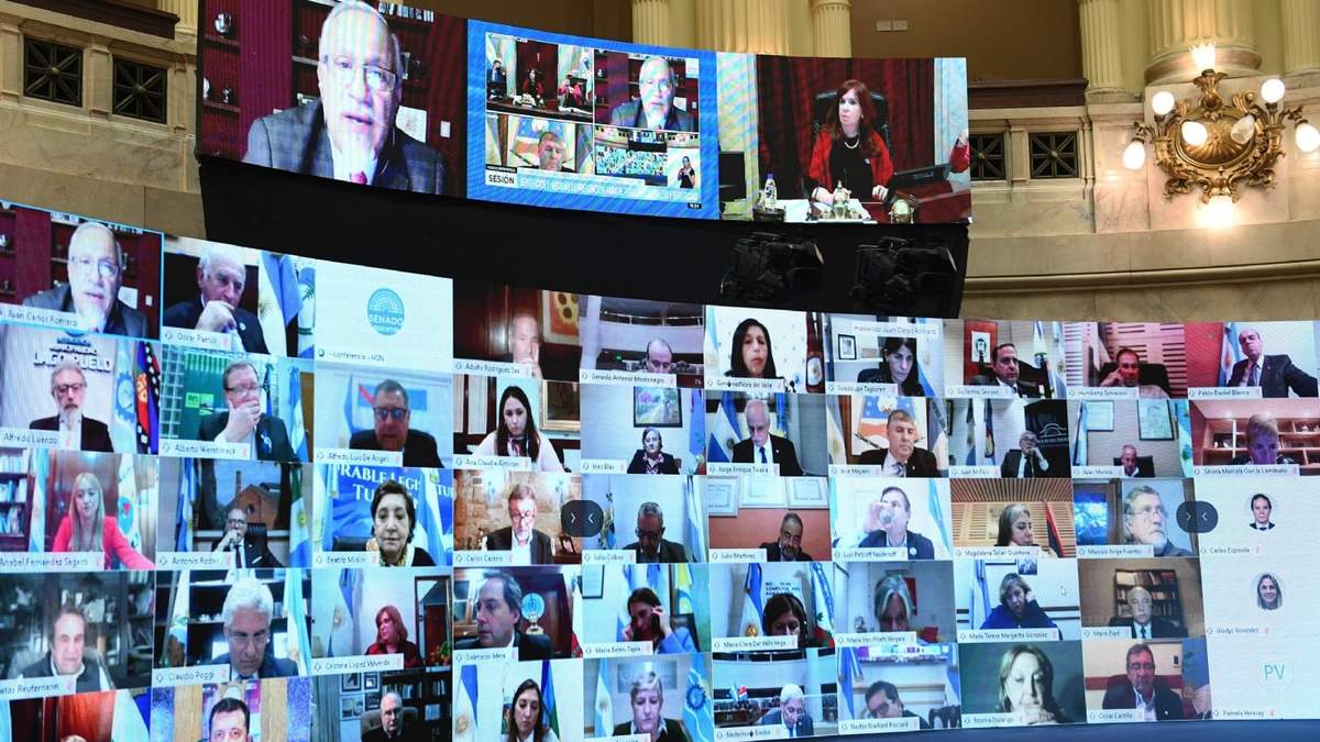 Sesión virtual en el Senado de la Nación. Fuente: (Twitter)