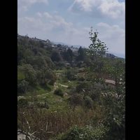 Hombres armados irrumpen en un “picadero” en Canoa, Puebla, y matan a seis personas (Video)