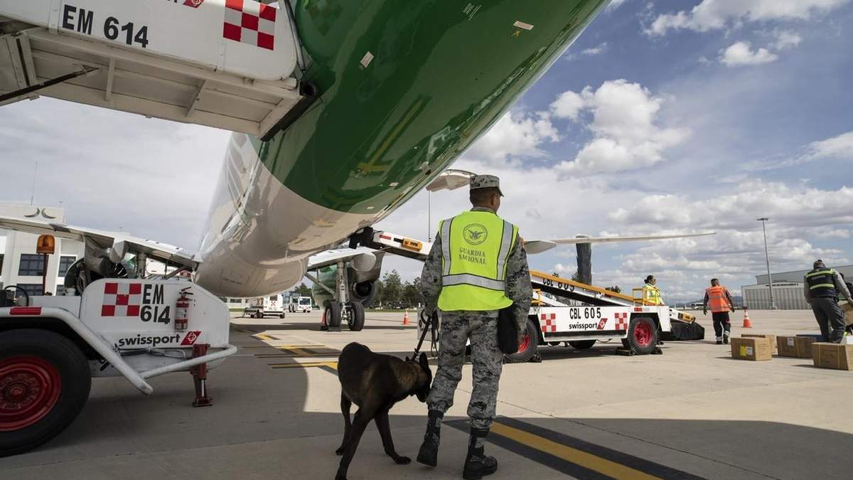 Militares en aduanas y puertos. Un remedio que no atacó la enfermedad