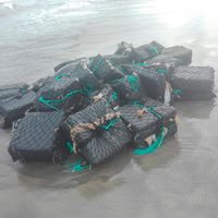 Aseguran mil 250 kilogramos de cocaína en las costas de Guerrero