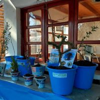 Villa Pehuenia: celebraron el Día del Árbol en el Vivero Provincial
