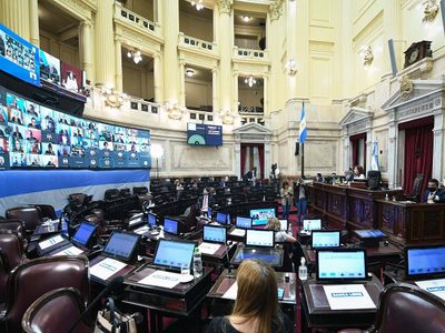 Victoria del oficialismo en el Senado: el impuesto a la riqueza se convirtió en ley