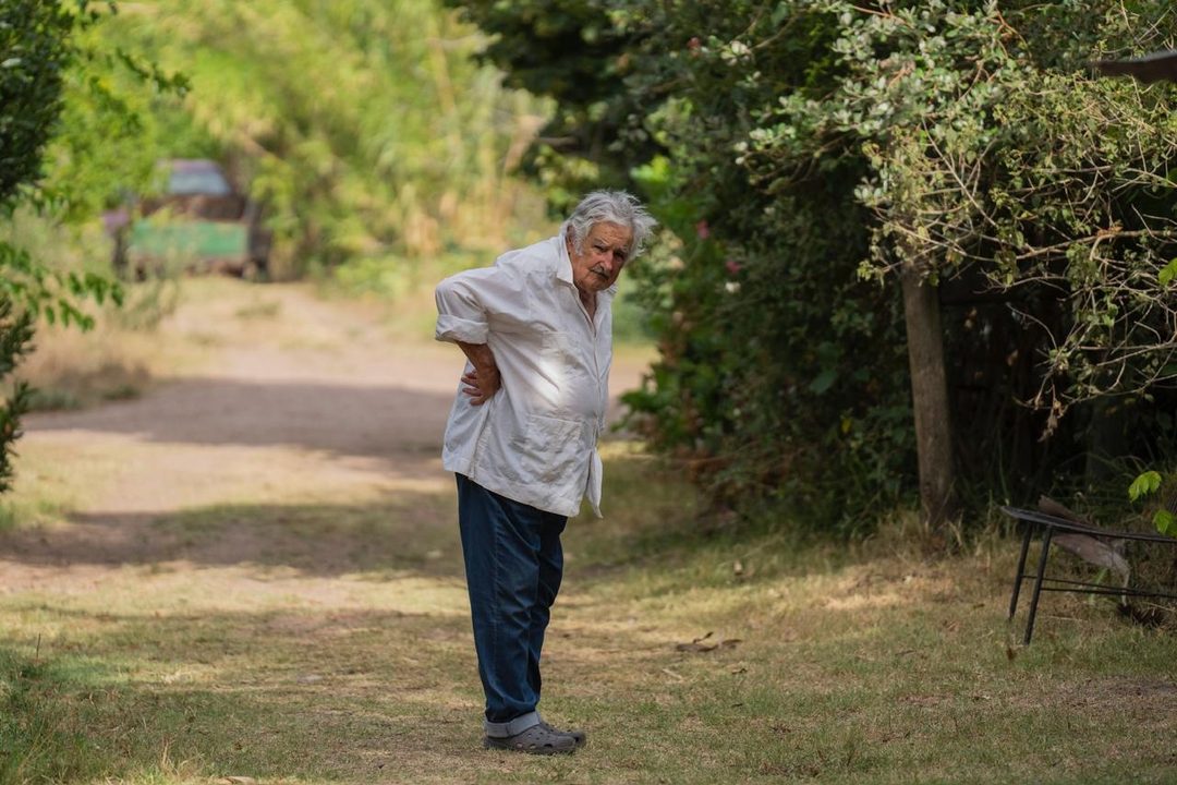 Mujica en su rancho  (AP FotoMatilde Campodónico, Archivo)