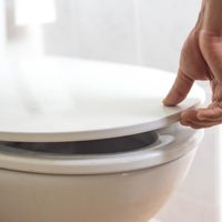 El truco infalible de la abuela para mantener perfumado tu inodoro y sin gastar fortuna en desinfectante