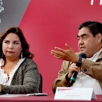 Crimen organizado detrás de tala ilegal en Puebla, advierte gobierno