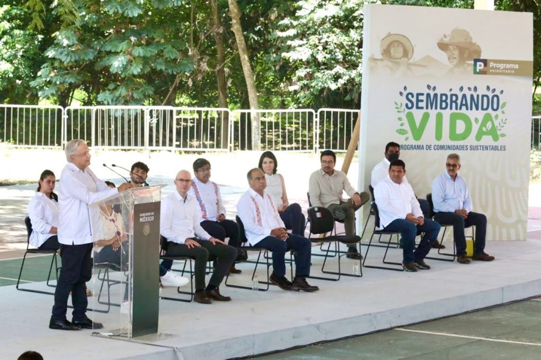 AMLO-Sembrando-Vida