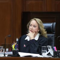 La prisa de la Corte en torno a la restricción del amparo a los ambientalistas