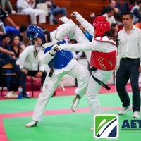 Asociación estatal de Taekwondo del Estado de México convoca a elecciones ilegales