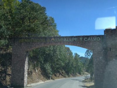 Matan a productor aguacatero de la Sierra Tarahumara
