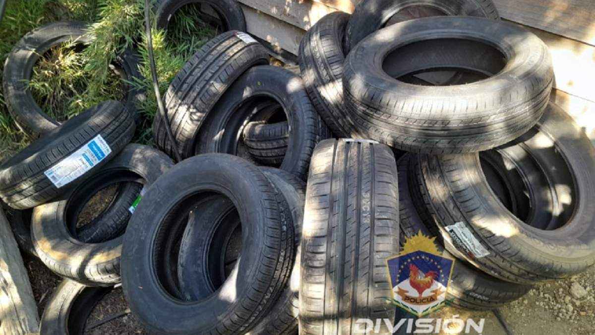 Un hombre trasladaba neumáticos robados. Fuente (Policía Neuquén)