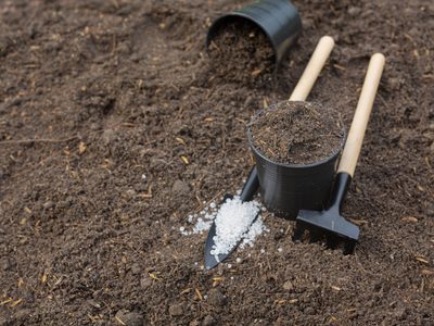 Cenizas en el jardín: un fertilizante natural para tus plantas
