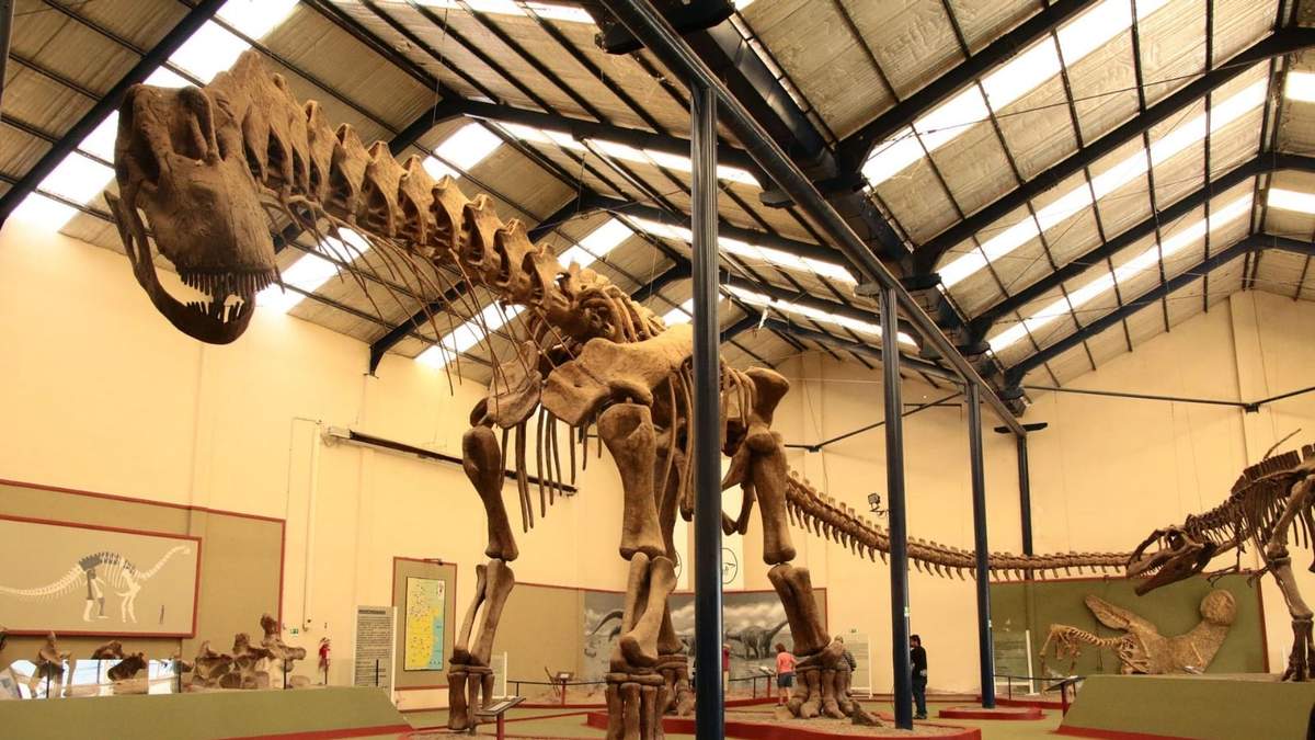 Museo paleontológico. Fuente: (Twitter)