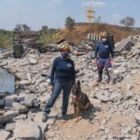 Unidad Canina K9: así es como la UNAM entrena binomios perro-humano para rescate en desastres