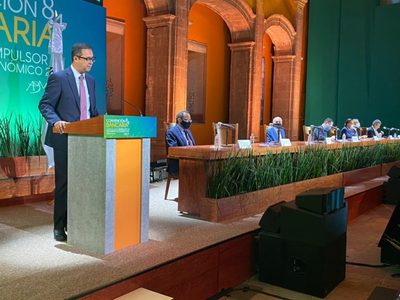 México podría obtener hasta 30 mil mdp del impuesto mínimo global a corporativos: Yorio