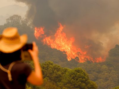 Arrecian los incendios forestales al sur del España: miles de hectáreas de bosque se calcinaron