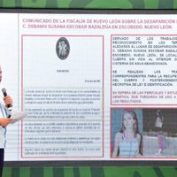 Gobierno de Nuevo León no ha solicitado apoyo de la federación para el caso Debanhi: Mejía Berdeja