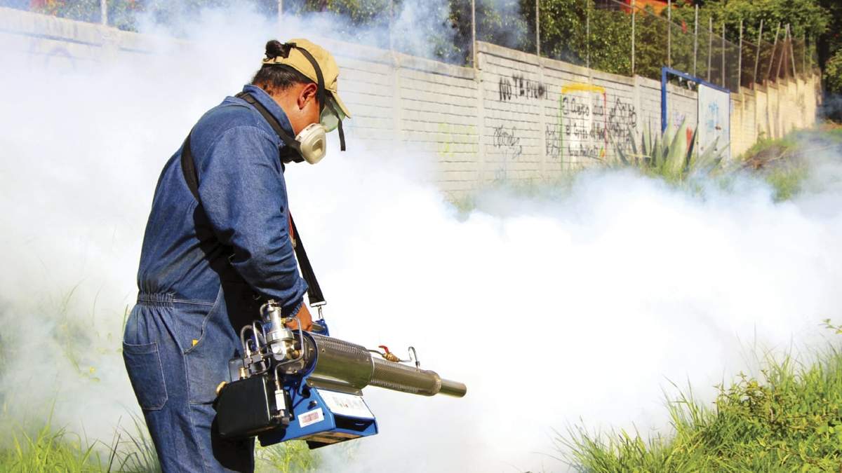 Medidas para eliminar el mosquito del dengue. Fuente: (Twitter)