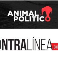 Animal Político y Contralínea acusan ataques cibernéticos contra sus portales