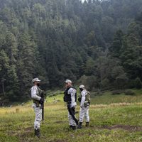 Entorno ecológico también es devastado por el covid-19: investigadora de la UNAM