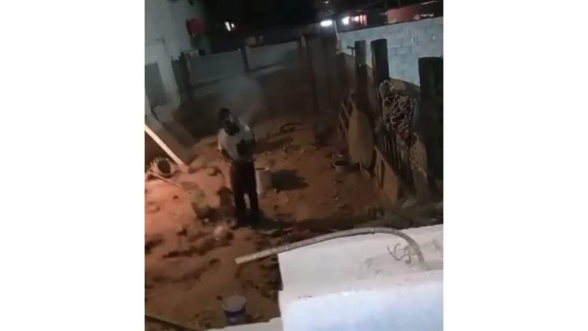 Sujeto que supuestamente mataba perros