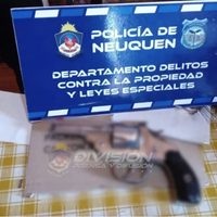 En tres allanamientos encontraron las armas de cazadores furtivos