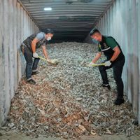 Tailandia incauta más de 200 toneladas de basura electrónica ilegal de EU