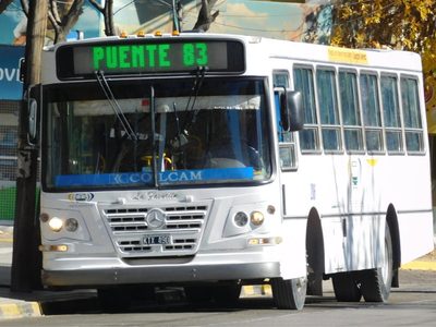 Cipolletti: congelaron las tarifas de transporte por cuatro meses