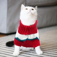 ¿Los gatos necesitan usar chaleco en invierno?