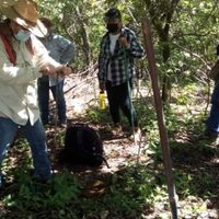 Logran que ONU emita acciones urgentes por desaparecidos en Nayarit y se informe de nexos con Veytia