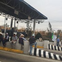 Con toma de casetas, productores de Jalisco exigen se eleve el precio de la leche