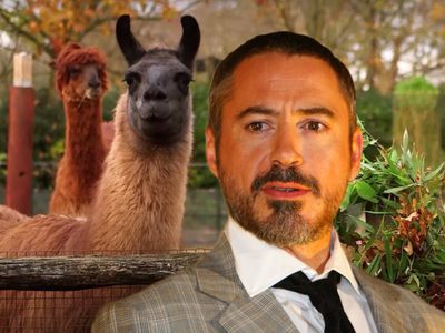 Apasionado de la naturaleza, Robert Downey Jr. muestra el particular zoo que tiene en su mansión